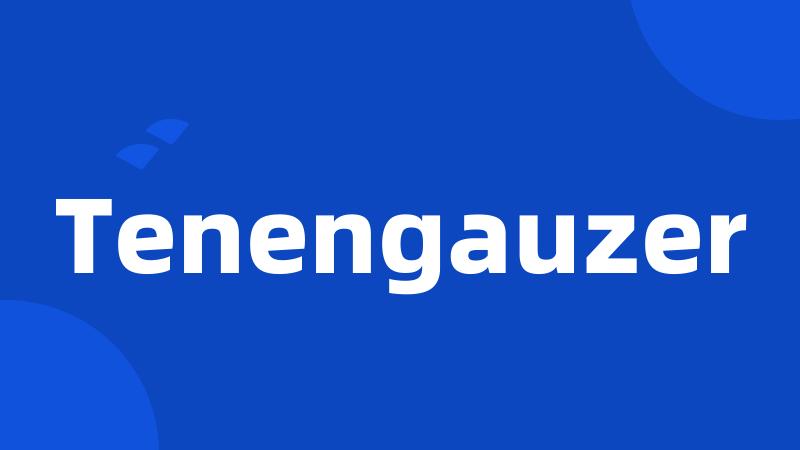 Tenengauzer