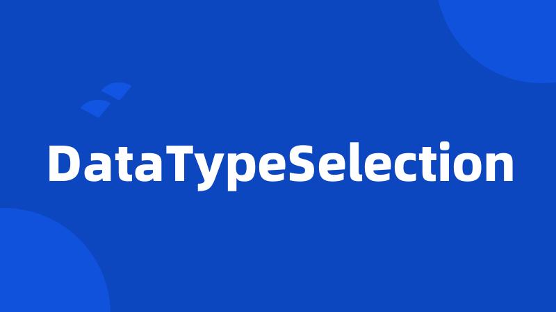 DataTypeSelection