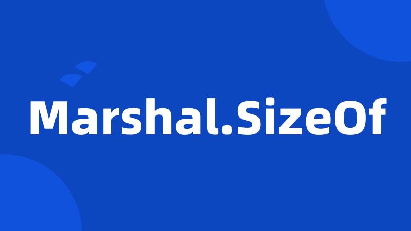 Marshal.SizeOf