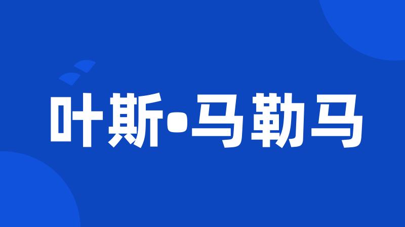 叶斯•马勒马