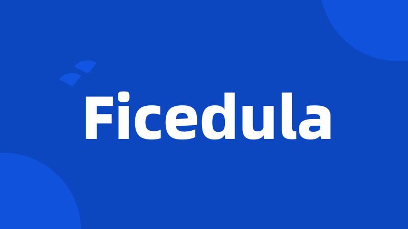 Ficedula