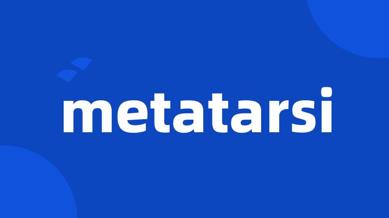 metatarsi
