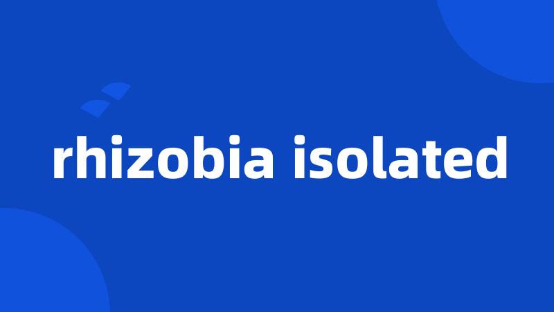 rhizobia isolated