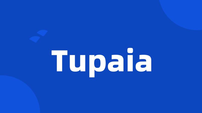 Tupaia