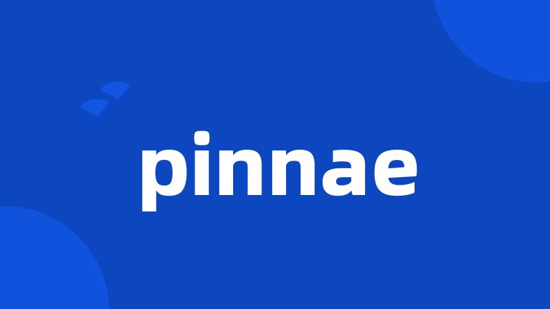 pinnae