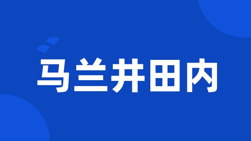 马兰井田内