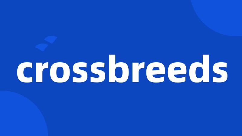 crossbreeds