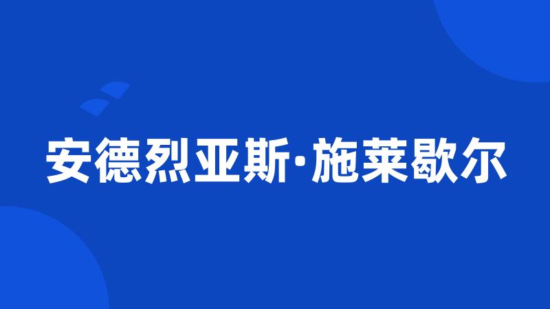 安德烈亚斯·施莱歇尔