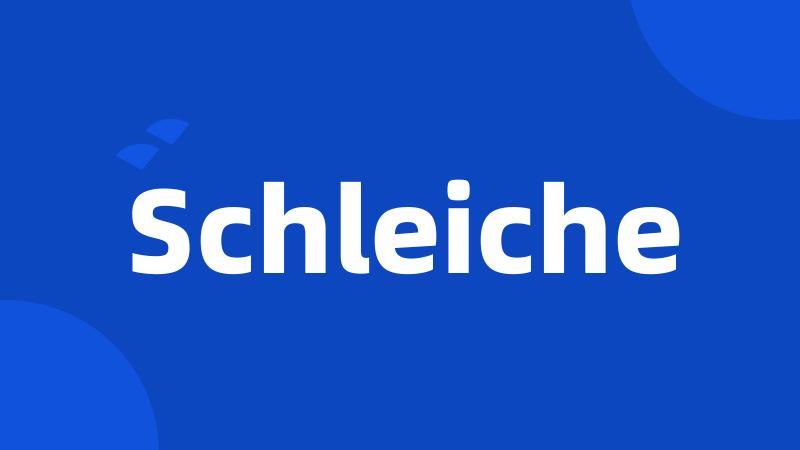 Schleiche