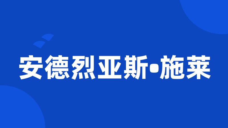 安德烈亚斯•施莱