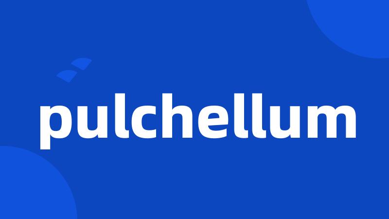 pulchellum