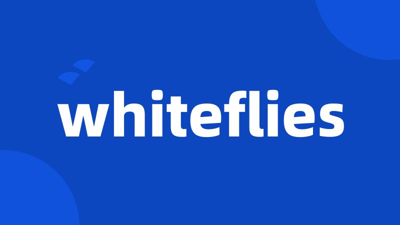 whiteflies