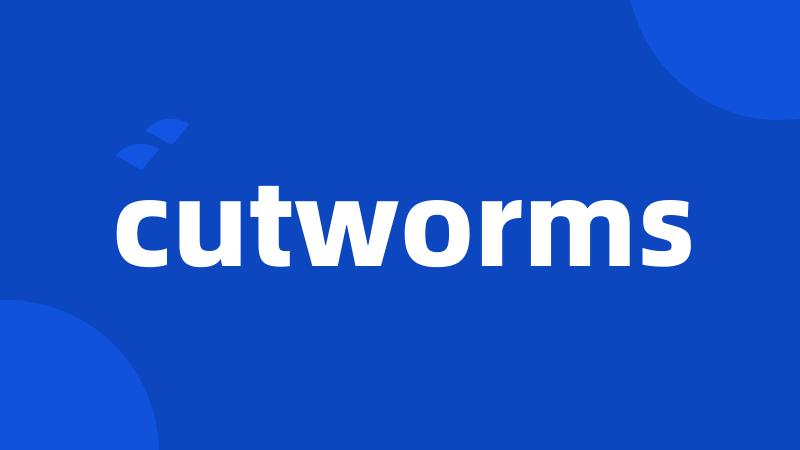 cutworms