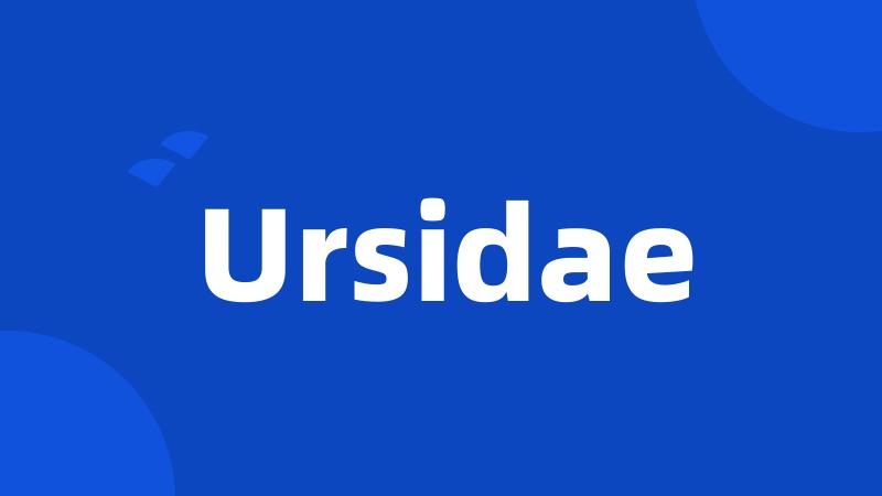 Ursidae