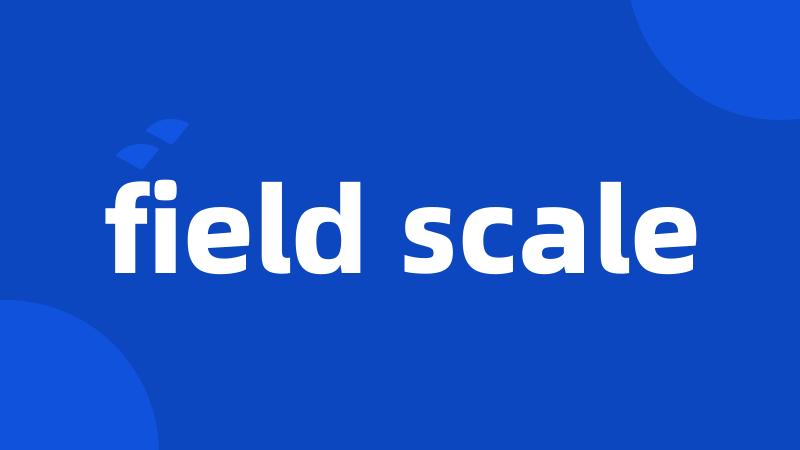 field scale