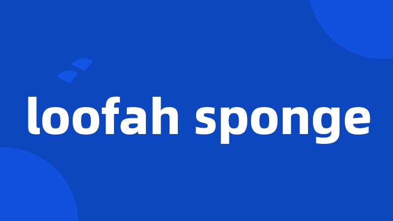 loofah sponge