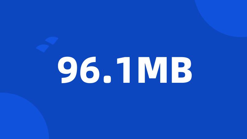 96.1MB