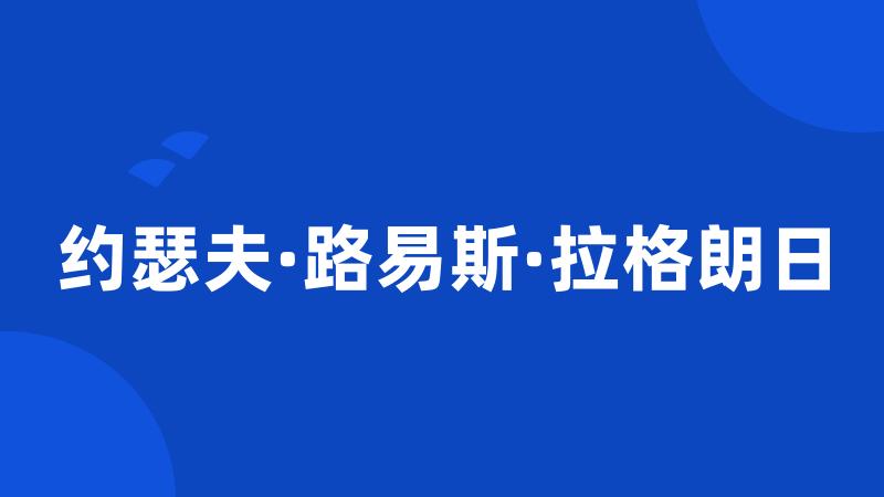 约瑟夫·路易斯·拉格朗日