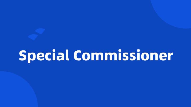 Special Commissioner