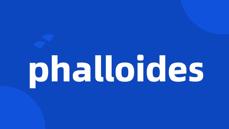 phalloides