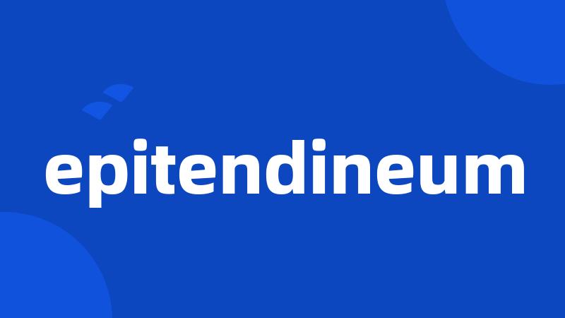 epitendineum