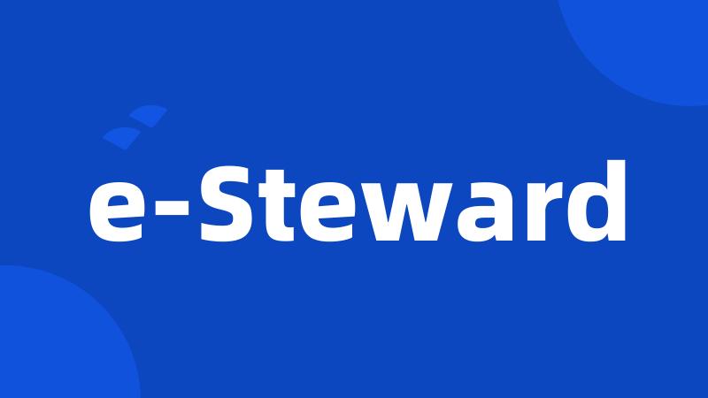 e-Steward