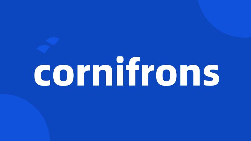 cornifrons