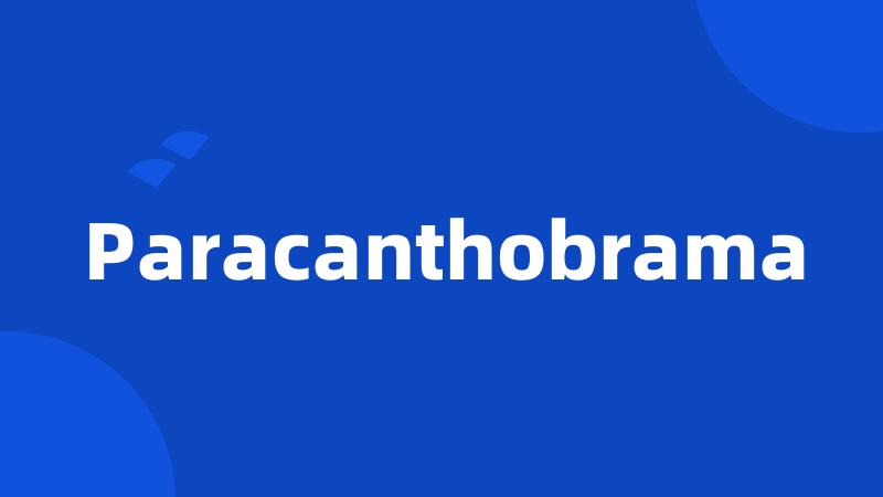 Paracanthobrama