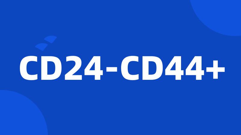 CD24-CD44+