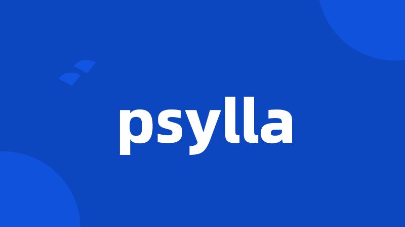 psylla