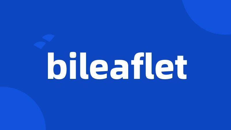 bileaflet