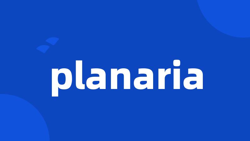 planaria