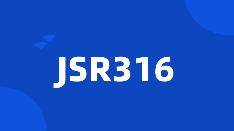 JSR316