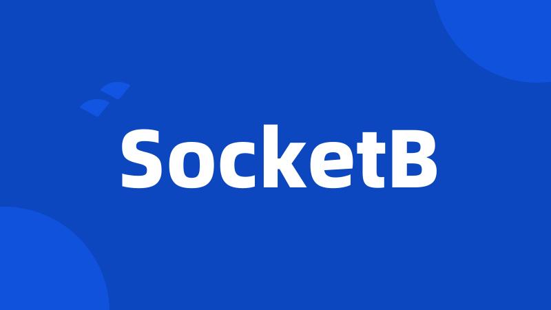 SocketB