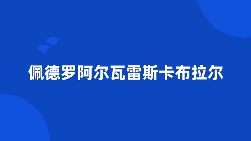 佩德罗阿尔瓦雷斯卡布拉尔