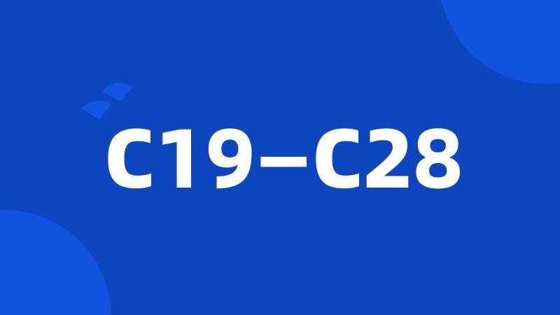 C19—C28