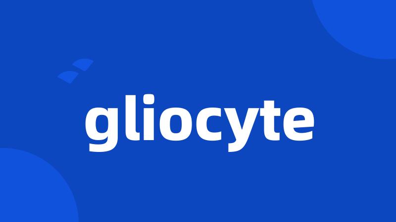 gliocyte