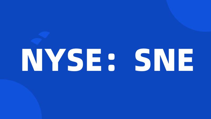 NYSE：SNE