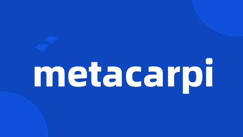 metacarpi