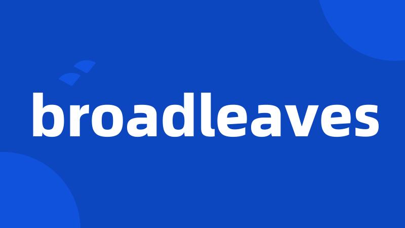 broadleaves