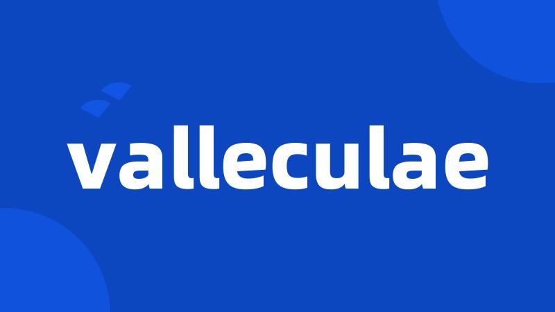 valleculae