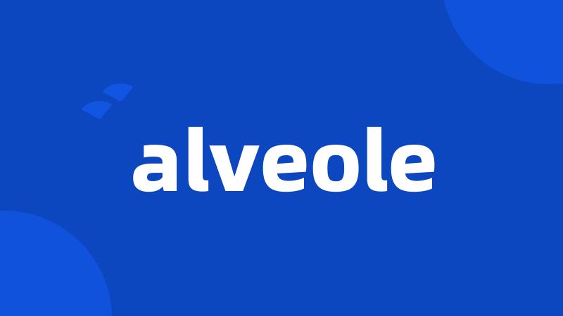 alveole