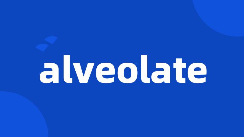 alveolate