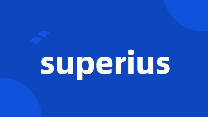 superius