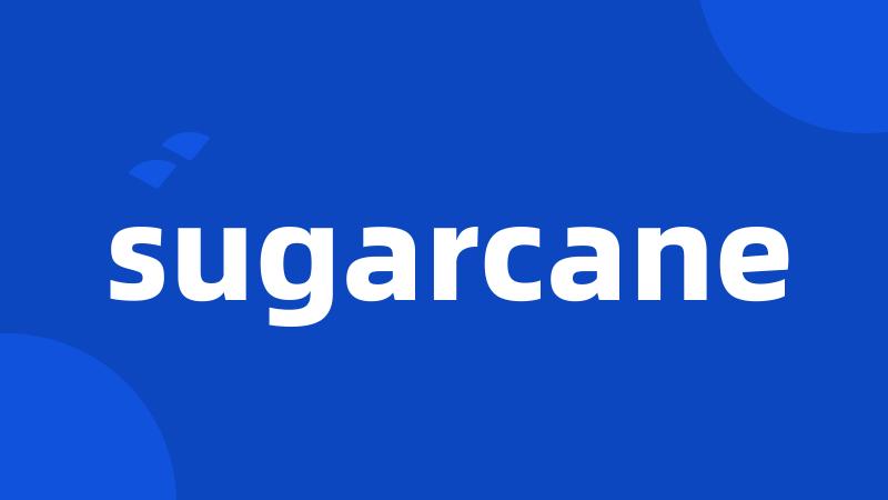 sugarcane