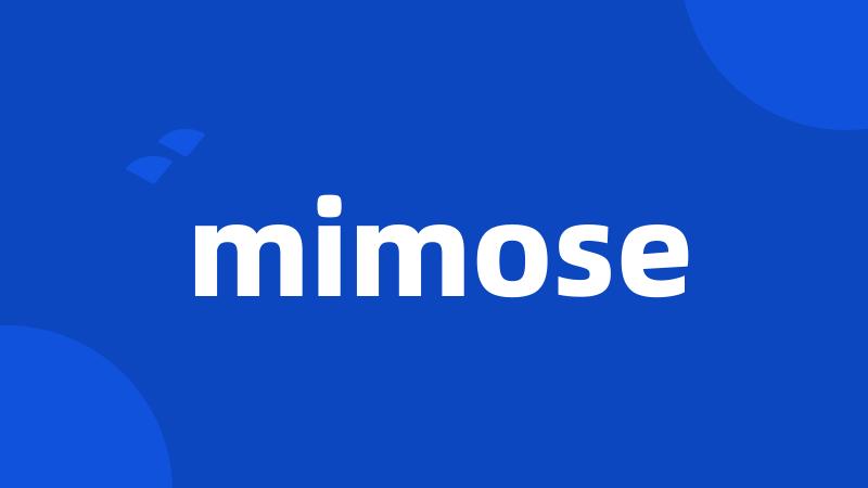 mimose