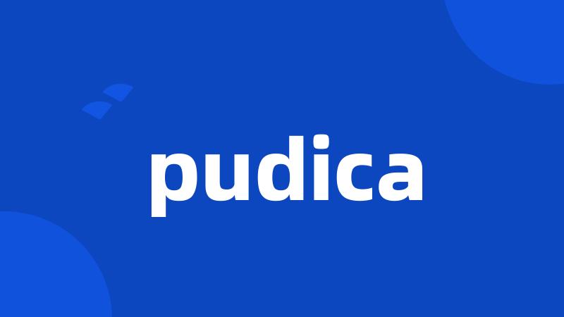 pudica