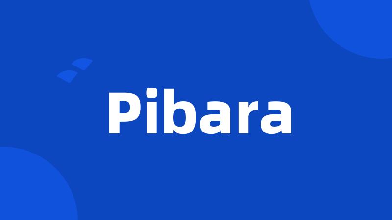 Pibara