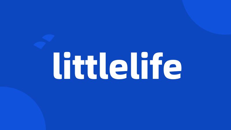 littlelife