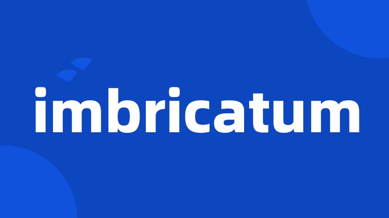 imbricatum